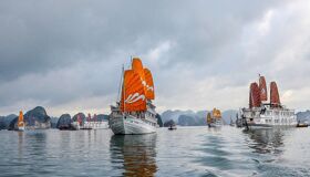 Begin your senior-prepared day with Vietnam’s tranquil ambiance